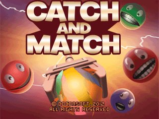 game pic for Catch and Match